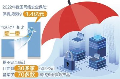 网络技术服务革新 从基础架构到智能应用